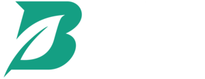Be-NN